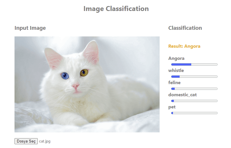 Image Classification App with ReactJS, Redux, SASS & Gradio API Image Classification App with ReactJS, Redux, SASS & Gradio API
